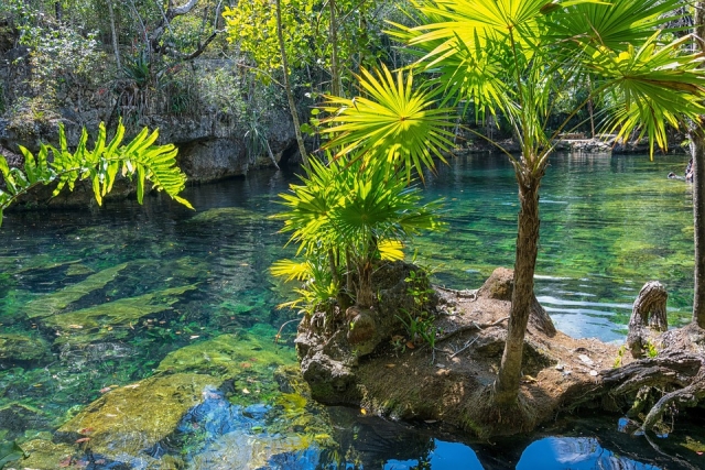 Conoce los cenotes